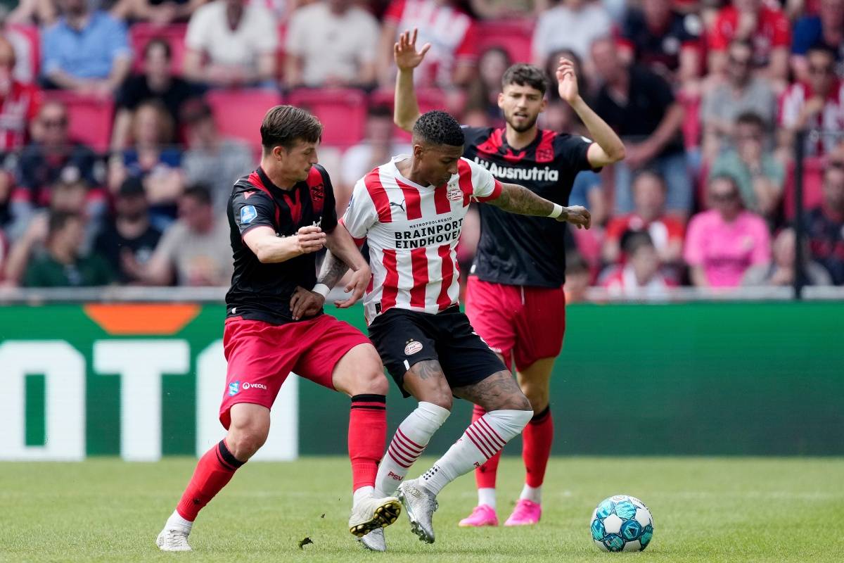 技水平的体 技水平的体