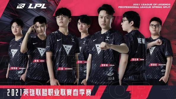 结论要点 结论要点